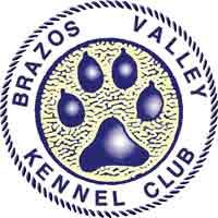 BRZO LOGO